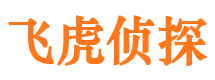 郏县侦探公司